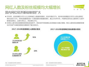 2018年中國網(wǎng)紅經(jīng)濟(jì)發(fā)展研究報(bào)告 網(wǎng)絡(luò)技術(shù)開發(fā)與信息咨詢的驅(qū)動(dòng)力量